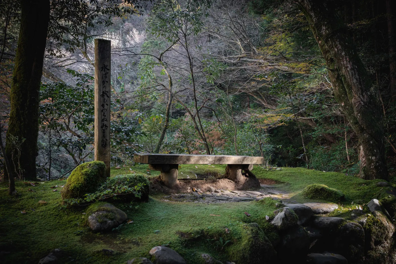 Perfect Serenity - 1/1