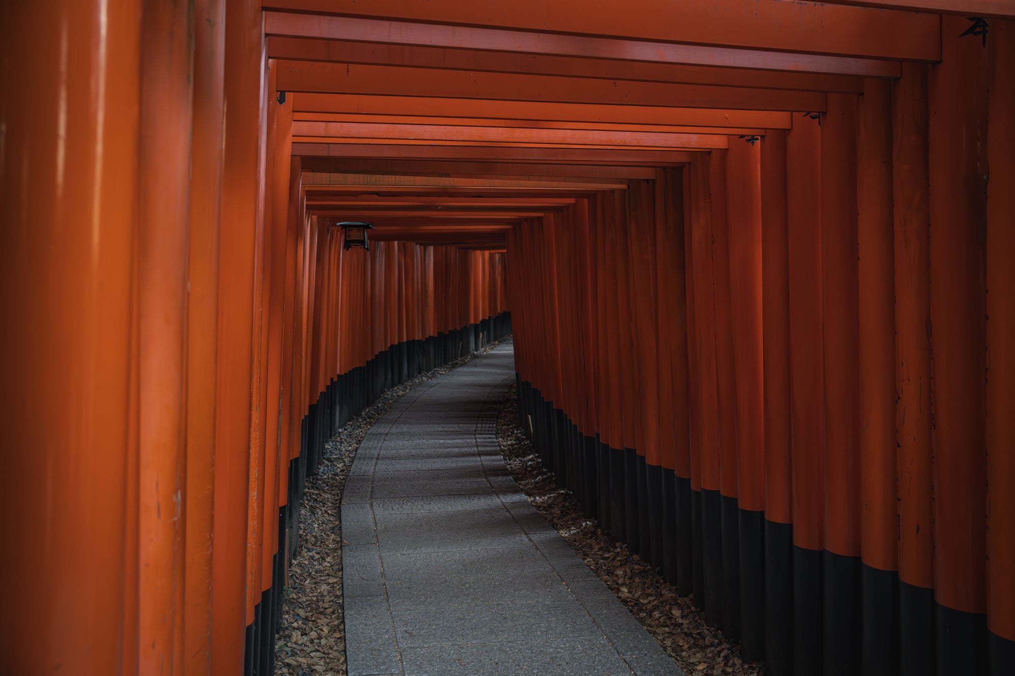 Torii - 5/5