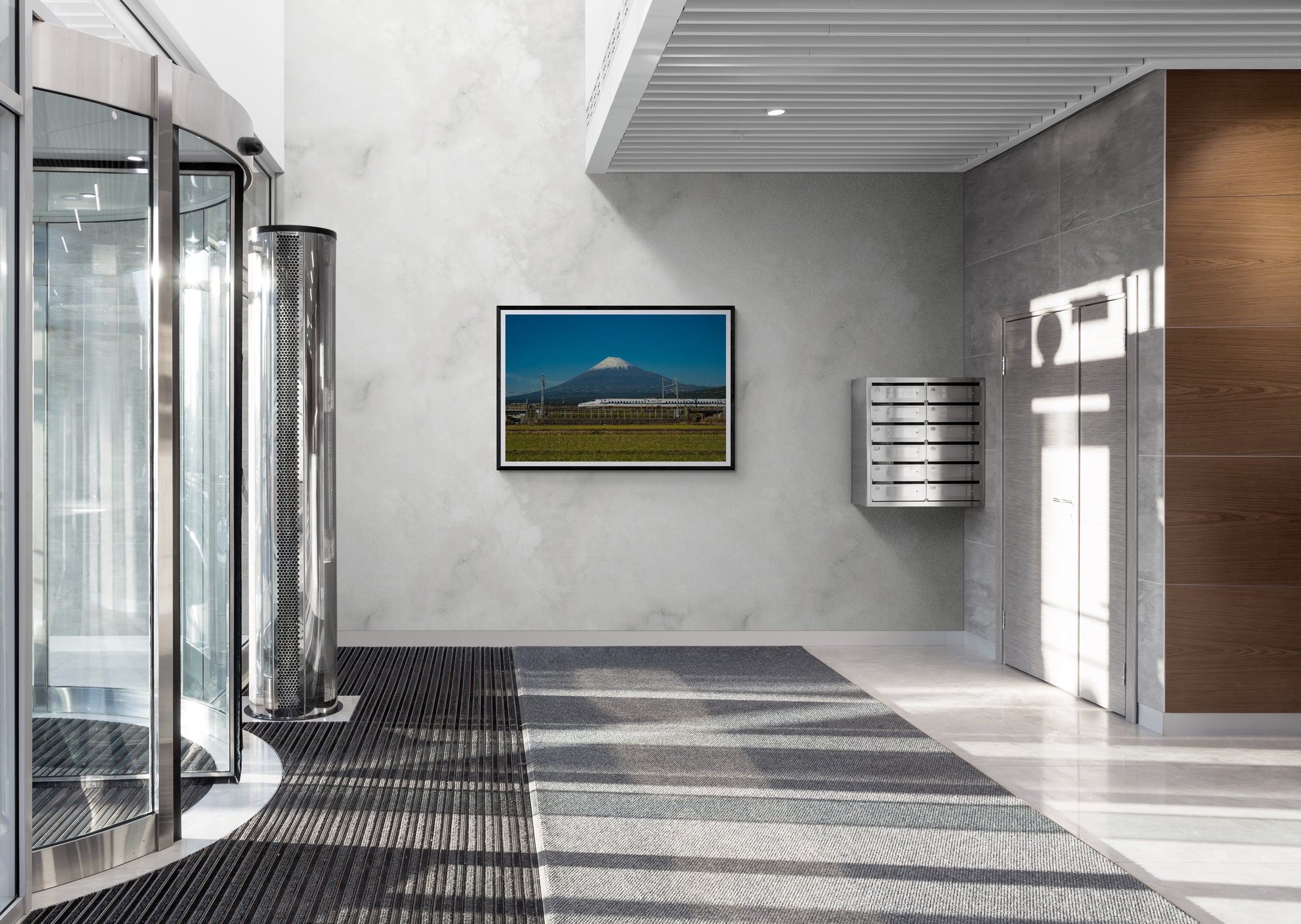 Mt Fuji x Shinkansen - 1/1